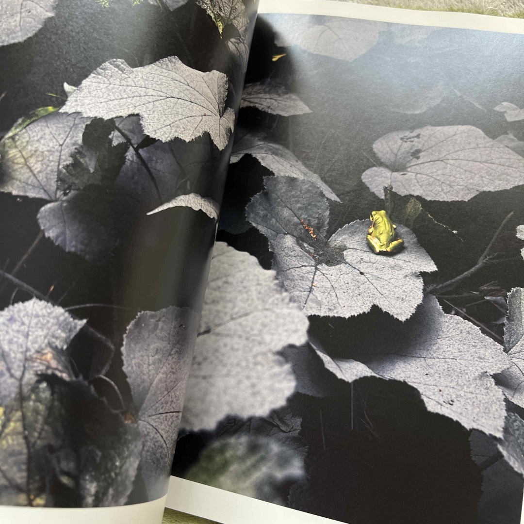 IMA 2019 Autumn 29号 エンタメ/ホビーの雑誌(アート/エンタメ/ホビー)の商品写真