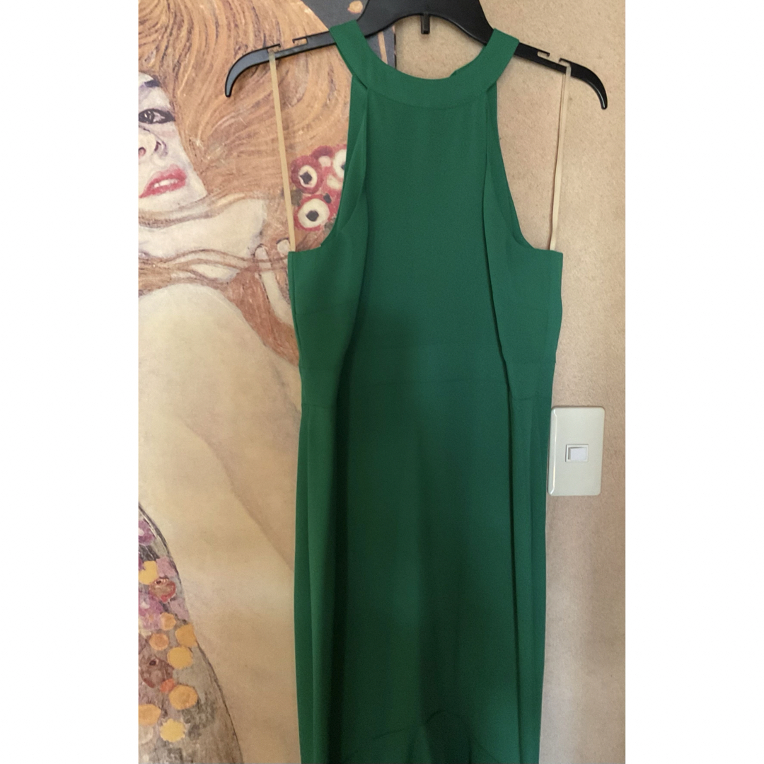 TADASHI SHOJI(タダシショウジ)の新品 USAロングドレス FOREST GREEN M レディースのフォーマル/ドレス(ロングドレス)の商品写真