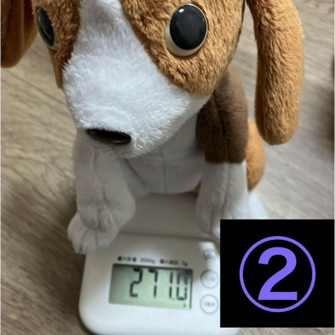 コンベニア犬　ぬいぐるみ　３体セット エンタメ/ホビーのおもちゃ/ぬいぐるみ(ぬいぐるみ)の商品写真