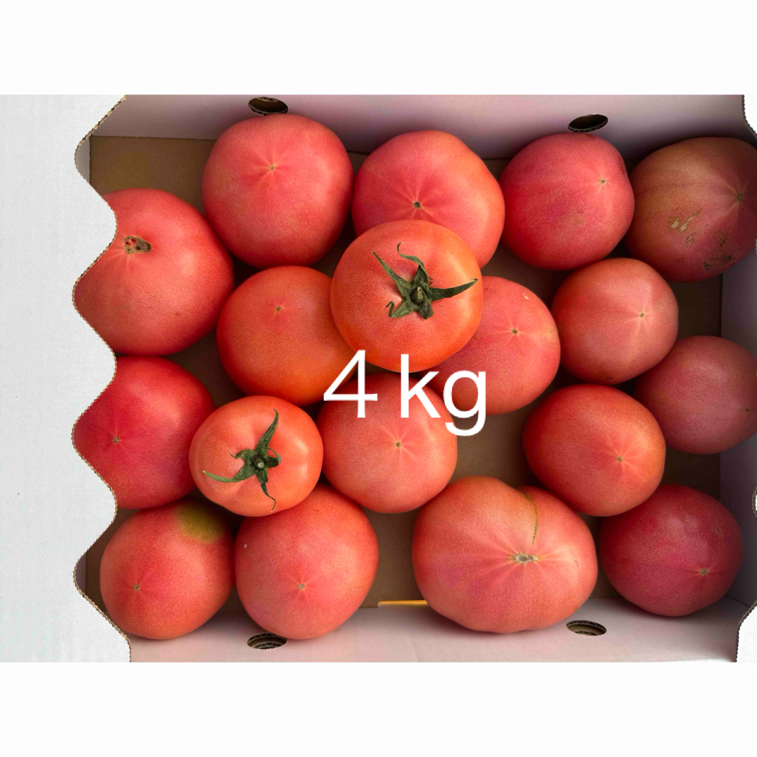 規格外トマト4kg 食品/飲料/酒の食品(野菜)の商品写真