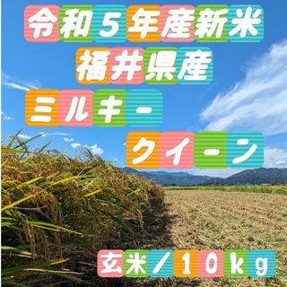 ✾令和⑤年産✾新米✾福井県産ミルキークイーン✾玄米10kg✾精米無料サービス✾(米/穀物)