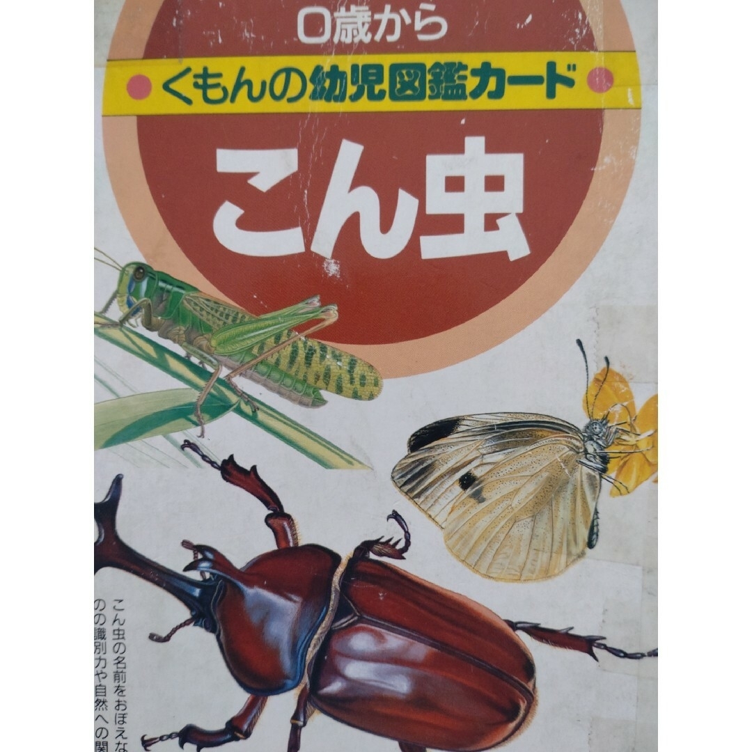 KUMON PUBLISHING(クモンシュッパン)のくもんの幼児図鑑カード こん虫 エンタメ/ホビーの本(絵本/児童書)の商品写真