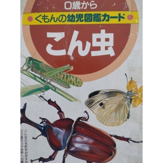 クモンシュッパン(KUMON PUBLISHING)のくもんの幼児図鑑カード こん虫(絵本/児童書)