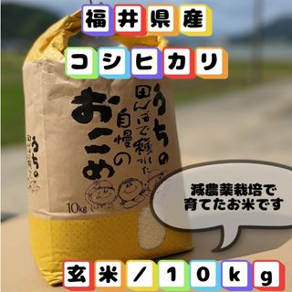 ✾数量限定✾期間限定SALE✾特別栽培米✾コシヒカリ✾玄米10㌔✾精米付✾(米/穀物)