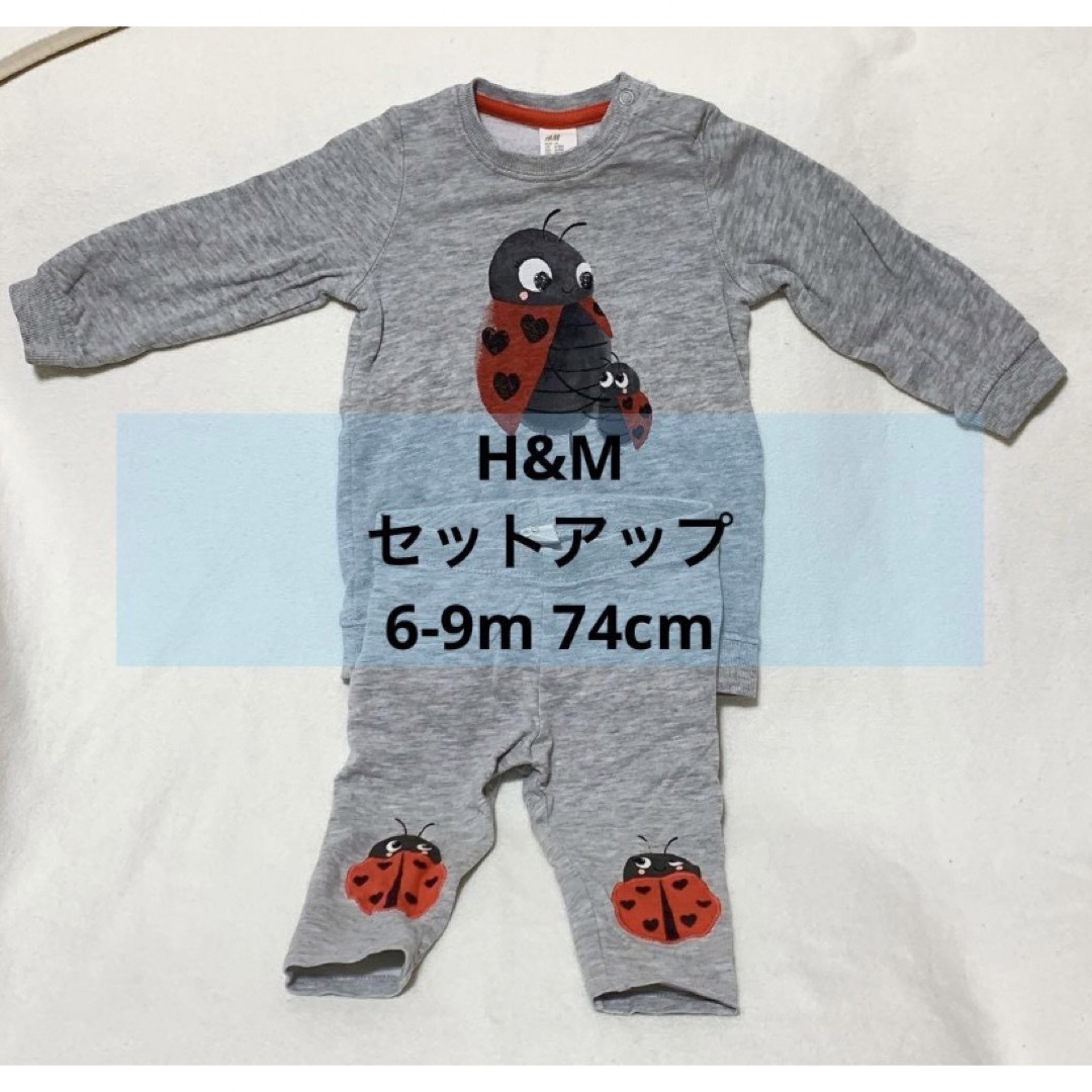 H&M(エイチアンドエム)のベビーキッズ　セットアップ　男女兼用　ｈ＆ｍ　70サイズ　てんとう虫 暖かい キッズ/ベビー/マタニティのキッズ服女の子用(90cm~)(Tシャツ/カットソー)の商品写真