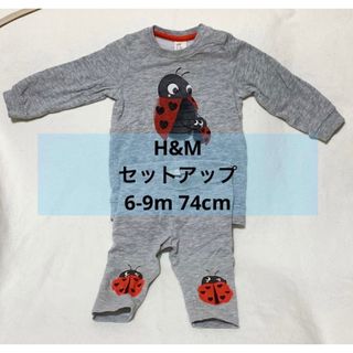 エイチアンドエム(H&M)のベビーキッズ　セットアップ　男女兼用　ｈ＆ｍ　70サイズ　てんとう虫 暖かい(Tシャツ/カットソー)