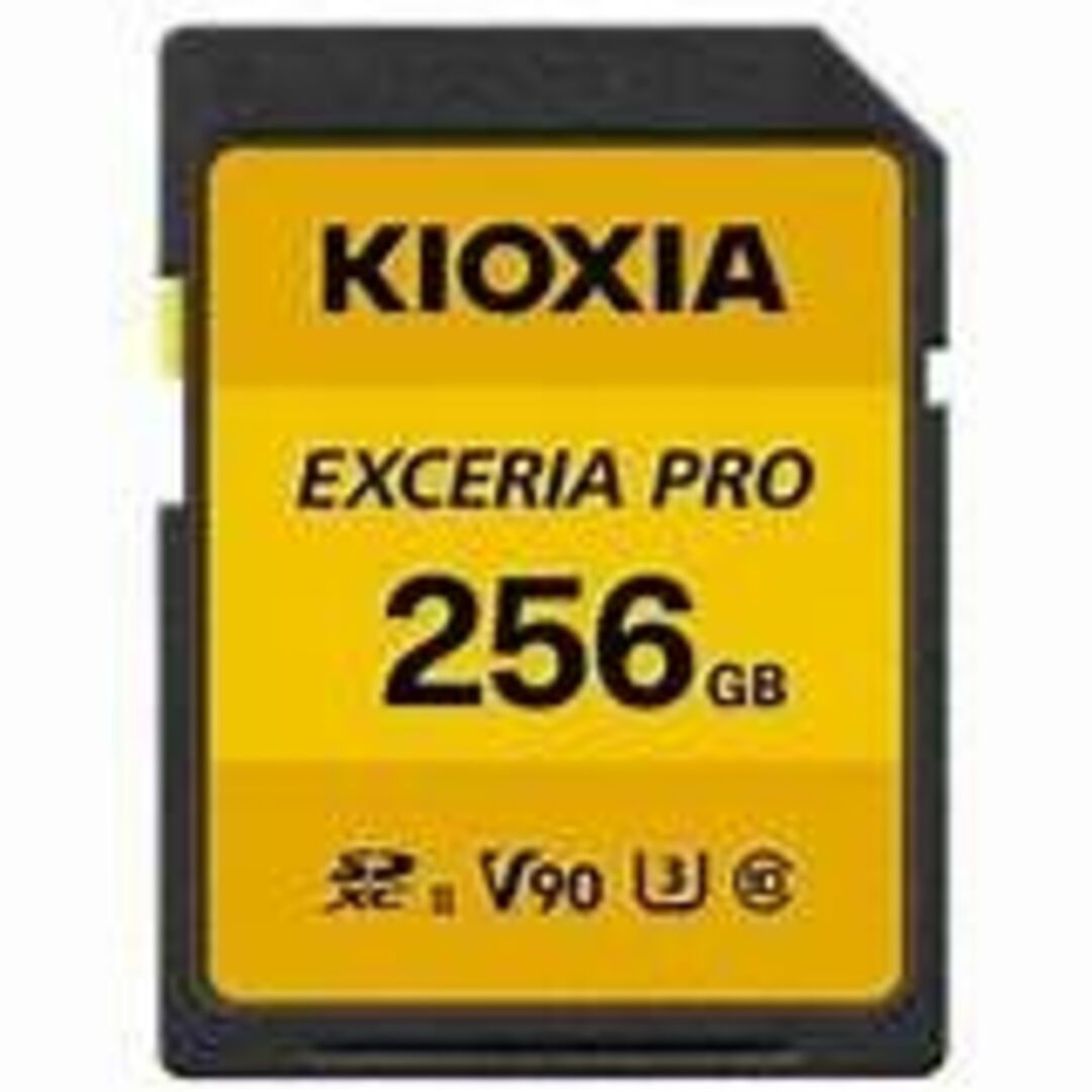 キオクシア　EXCERIA PRO KSDXU-A256G [256GB]その他