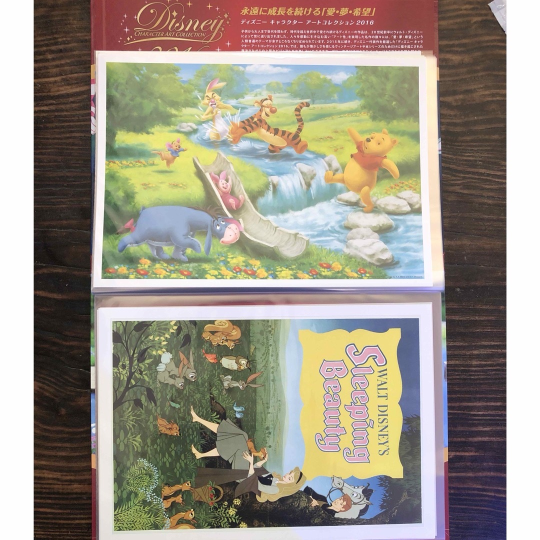 Disney(ディズニー)のディズニー キャラクター アート コレクション エンタメ/ホビーのアニメグッズ(ポスター)の商品写真