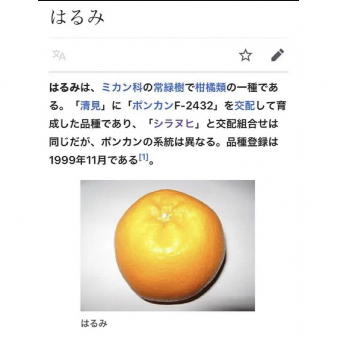 和歌山有田産 はるみみかん 3kg 食品/飲料/酒の食品(フルーツ)の商品写真
