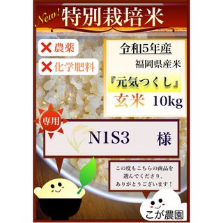 N1S3様専用　準自然米　福岡県産「元気つくし」令和５年産　玄米10kg  (米/穀物)