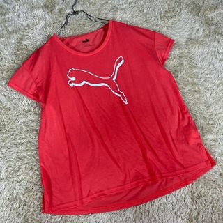 プーマ(PUMA)のPUMA プーマ (L) スポーツ プリント ロゴ入りTシャツ 半袖(Tシャツ(半袖/袖なし))