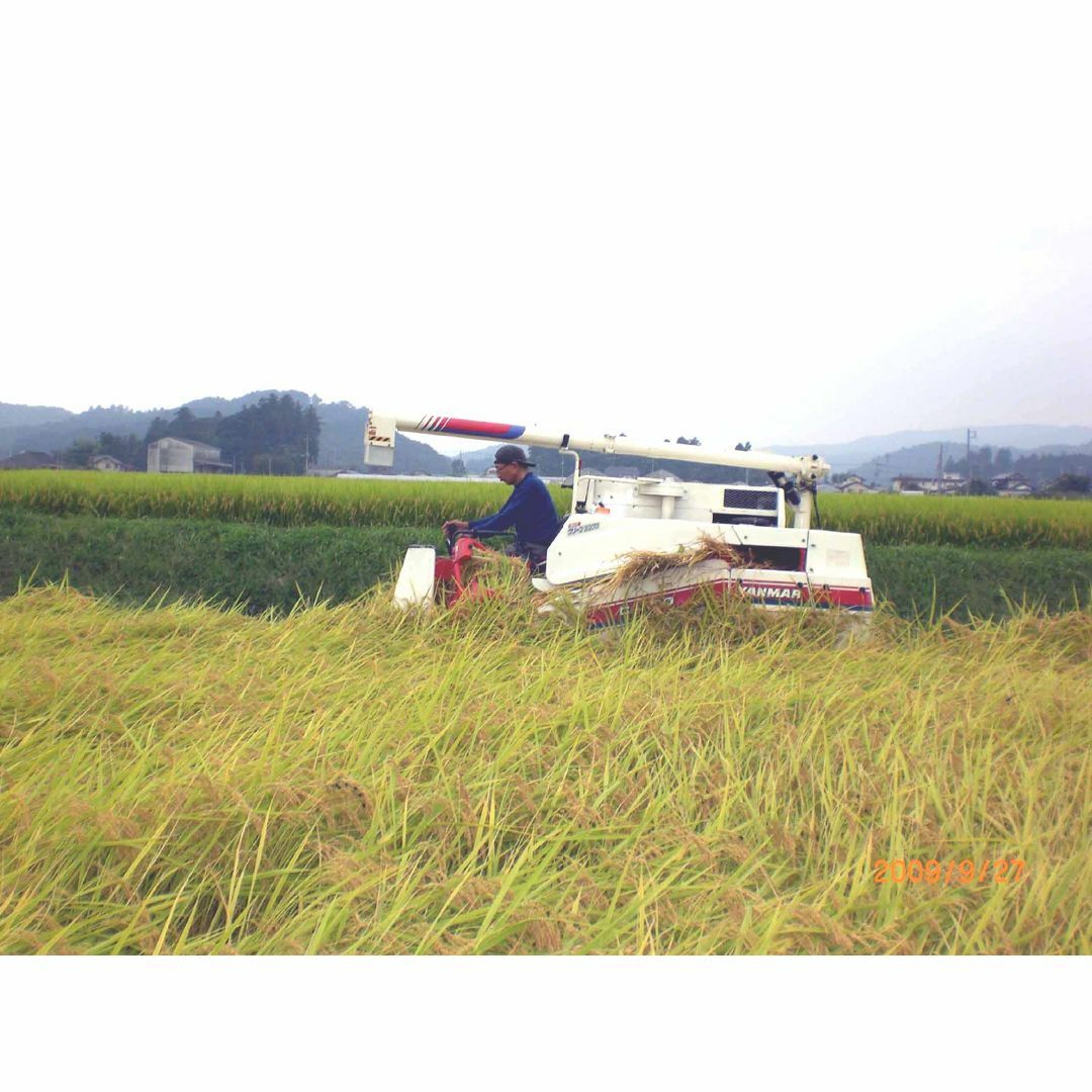 栃木米、コシヒカリ（R５年産）玄米１０kg、農家直送の自家米 食品/飲料/酒の食品(米/穀物)の商品写真