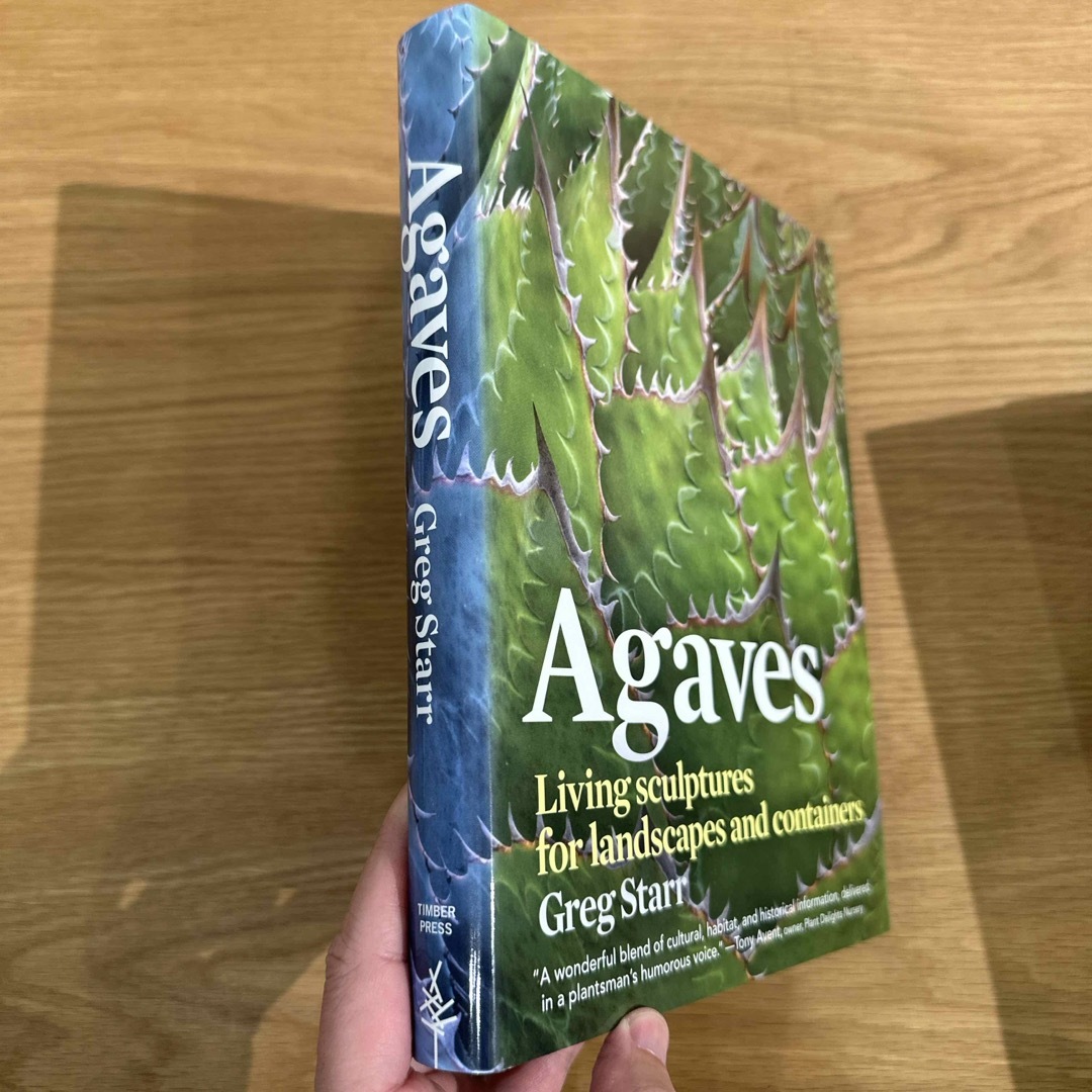 ＡＧＡＶＥＳ（Ｈ） エンタメ/ホビーの本(洋書)の商品写真