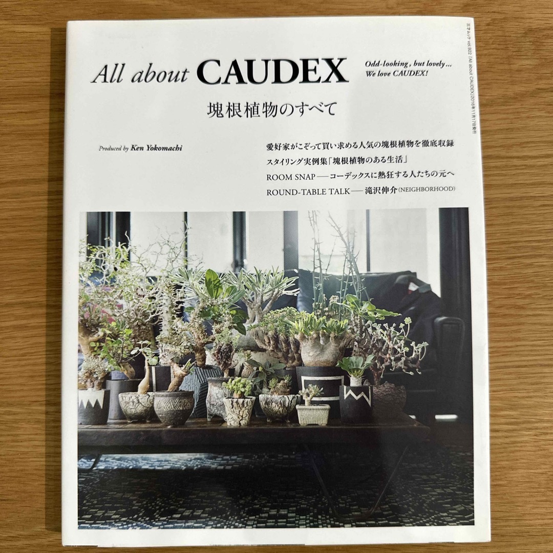 Ａｌｌ　ａｂｏｕｔ　ＣＡＵＤＥＸ エンタメ/ホビーの本(趣味/スポーツ/実用)の商品写真