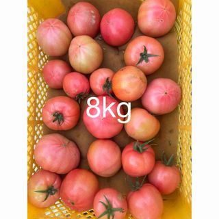 規格外トマト　8kg(野菜)