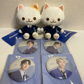 セブンティーン(SEVENTEEN)の【SEVENTEEN】缶バッジ＆ミニぬいぐるみ(アイドルグッズ)