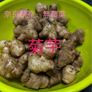 菊芋　奈良県産　無農薬　家庭用(ダイエット食品)