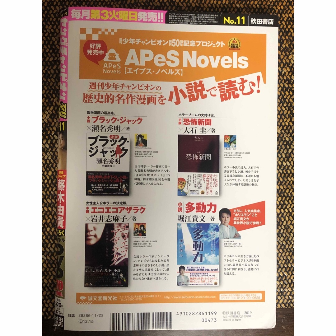 月刊ヤングチャンピオン 烈 No.11 2019年 11/25号 [雑誌] エンタメ/ホビーの雑誌(アート/エンタメ/ホビー)の商品写真