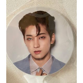 セブンティーン(SEVENTEEN)のSEVENTEEN WONWOO IMAGE PICKET(アイドルグッズ)