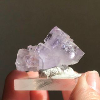 スペイン　アストゥリアス産　パープルブルー　フローライト　結晶　原石　鉱物標本(その他)