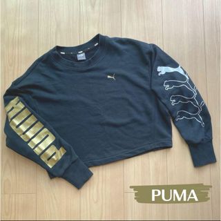 プーマ(PUMA)の【PUMA】ショート丈 トレーナー S プーマ(トレーナー/スウェット)