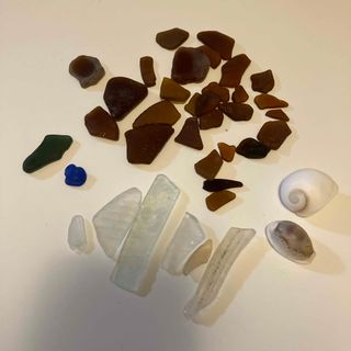 シーグラス（茶色メイン）と貝殻(その他)