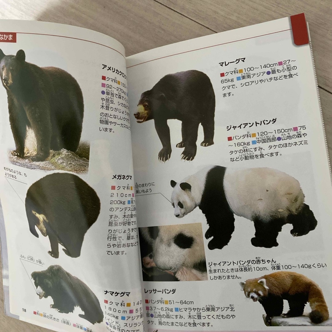 学研(ガッケン)の動物 エンタメ/ホビーの本(絵本/児童書)の商品写真