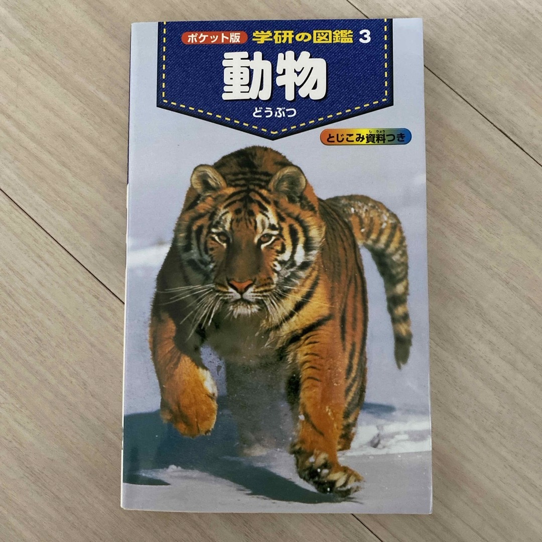 学研(ガッケン)の動物 エンタメ/ホビーの本(絵本/児童書)の商品写真