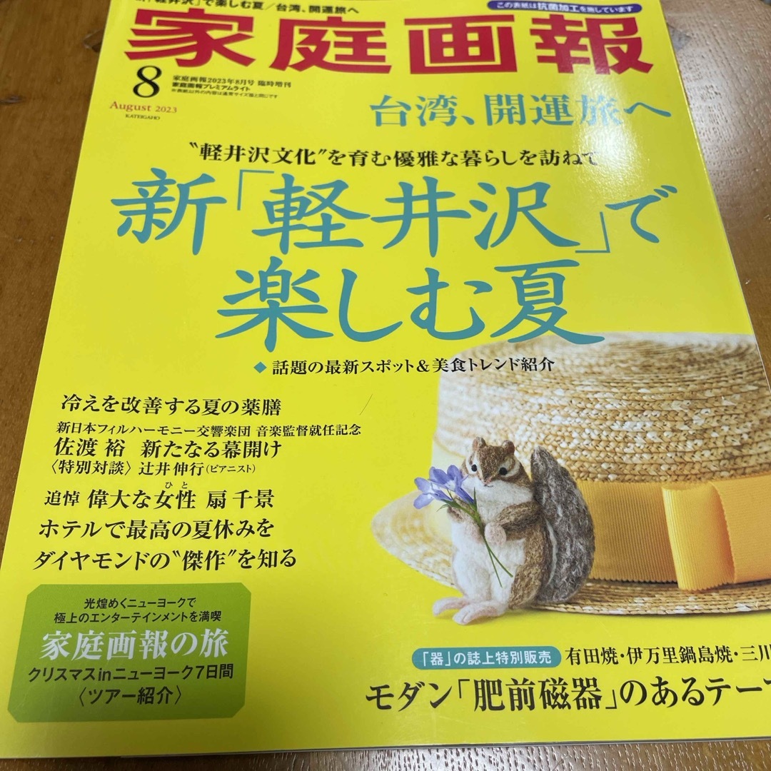 家庭画報プレミアムライト版 2023年 08月号 [雑誌] エンタメ/ホビーの雑誌(その他)の商品写真