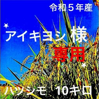 ⭐️アイキヨシ様専用⭐️ R５年産✳️５回選別・有機肥料・ハツシモ１０キロ(米/穀物)