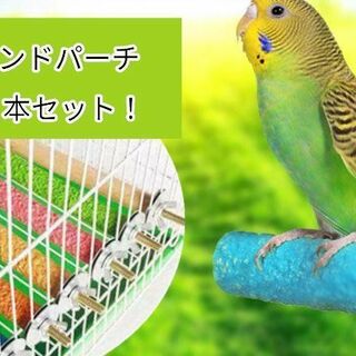 【２色セット】20cm サンドパーチ オレンジ 黄緑 止まり木 鳥(鳥)