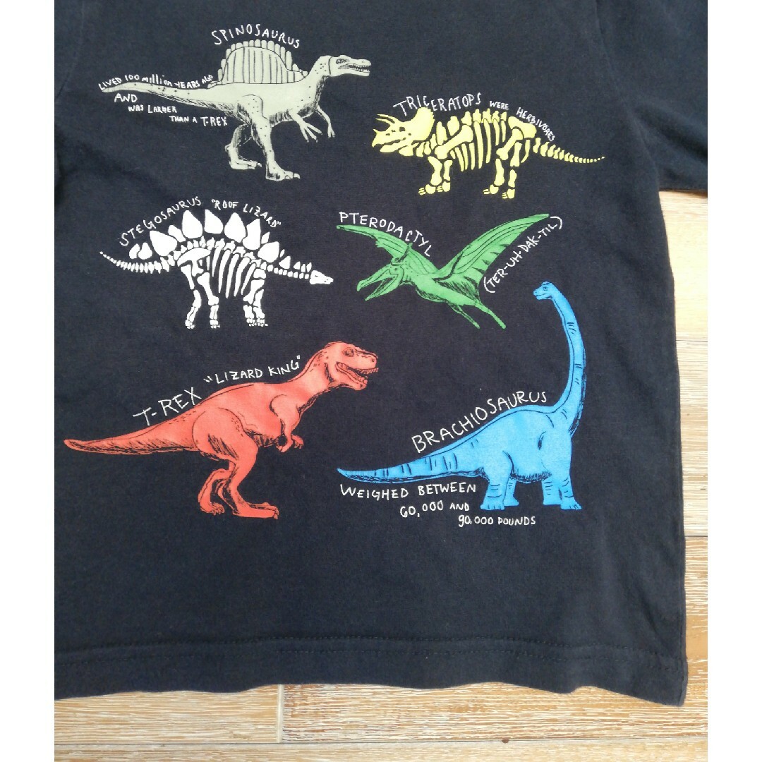 babyGAP(ベビーギャップ)のギャップベイビーレイズ恐竜ロンTネイビー3歳サイズ キッズ/ベビー/マタニティのキッズ服男の子用(90cm~)(Tシャツ/カットソー)の商品写真