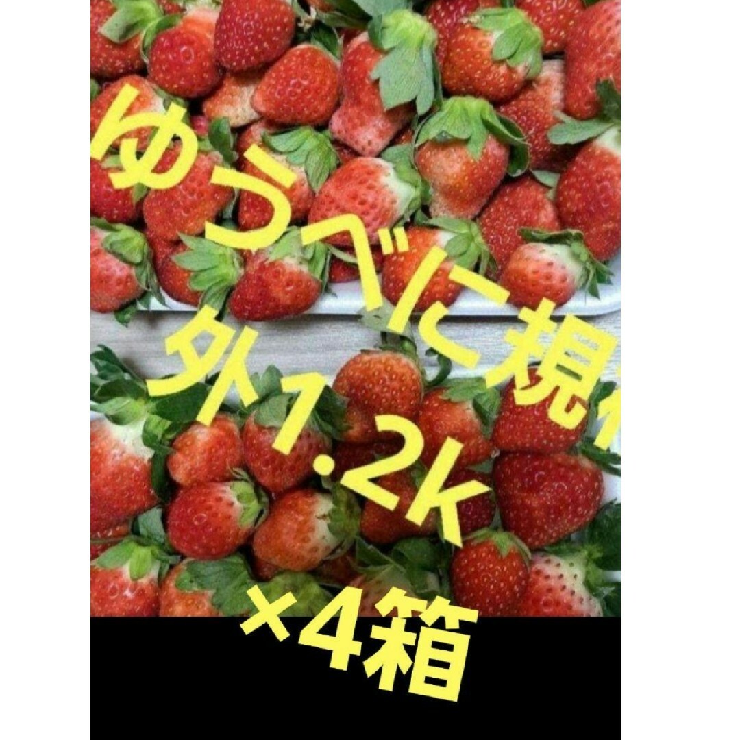 ❤️ゆうべに規格外❤1.2k×4箱クール便送料込12000→10500 食品/飲料/酒の食品(フルーツ)の商品写真