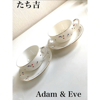 タチキチ(たち吉)のたち吉　Adam & Eve 金縁　カップ&ソーサー　2客(グラス/カップ)