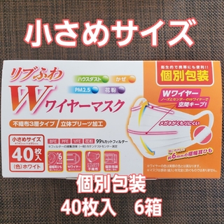 リブふわWワイヤーマスク 小さめサイズ 個別包装40枚入×6箱(日用品/生活雑貨)