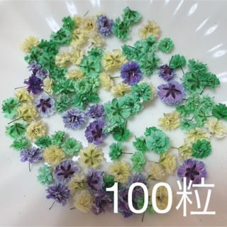 (03)かすみ草ドライフラワー100粒(ドライフラワー)