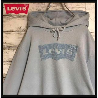 リーバイス(Levi's)の【希少カラー】リーバイス　ビックロゴパーカー　希少パイル地ロゴ　F804R(パーカー)