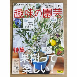 NHK趣味の園芸2023年11月号 果樹って楽しい オリーブ・レモン・ミニリンゴ(趣味/スポーツ)