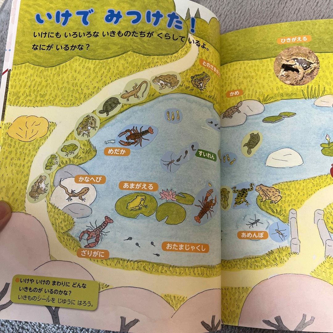 知育絵本　ポピー　ポピっこ　あかどり　4がつ エンタメ/ホビーの本(絵本/児童書)の商品写真