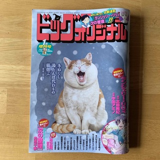 ショウガクカン(小学館)のビッグコミックオリジナル 増刊号 2024年 1/12号 [雑誌](漫画雑誌)