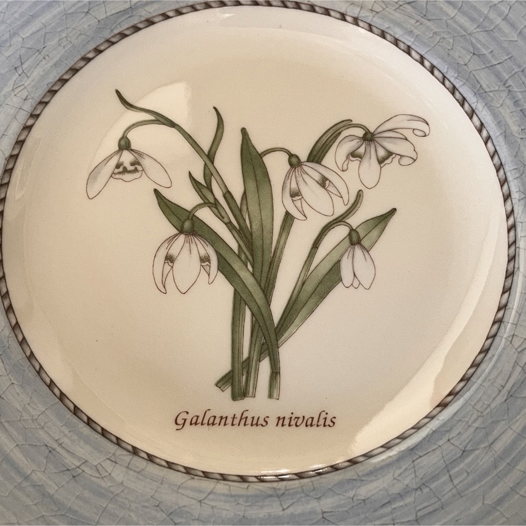 WEDGWOOD - 【美品】ウェッジウッド☆スノードロップ☆トリオ WEDGWOOD - 【美品】ウェッジウッド☆スノードロップ☆トリオ
