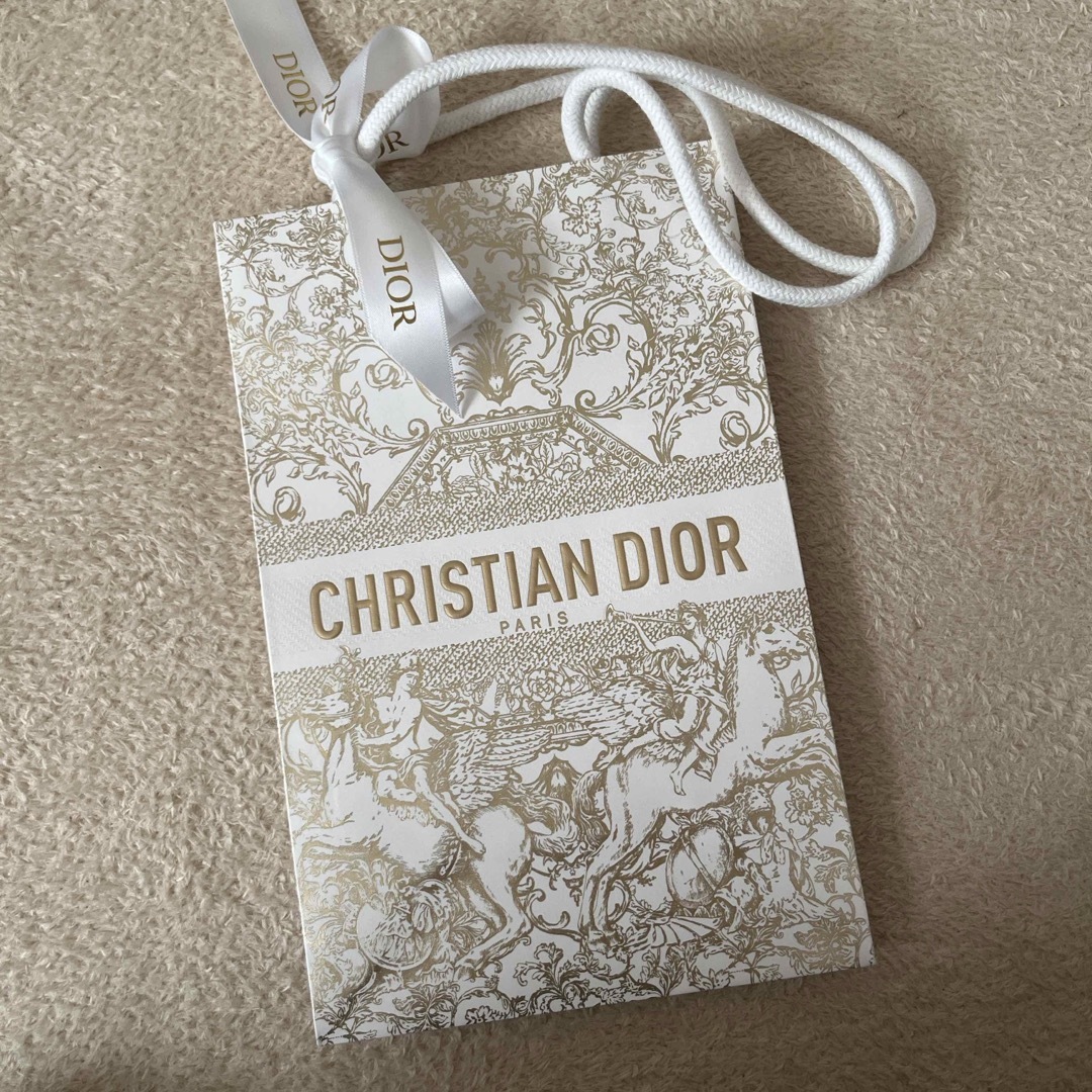 Dior(ディオール)のDIOR 紙袋 ショッパー レディースのバッグ(ショップ袋)の商品写真