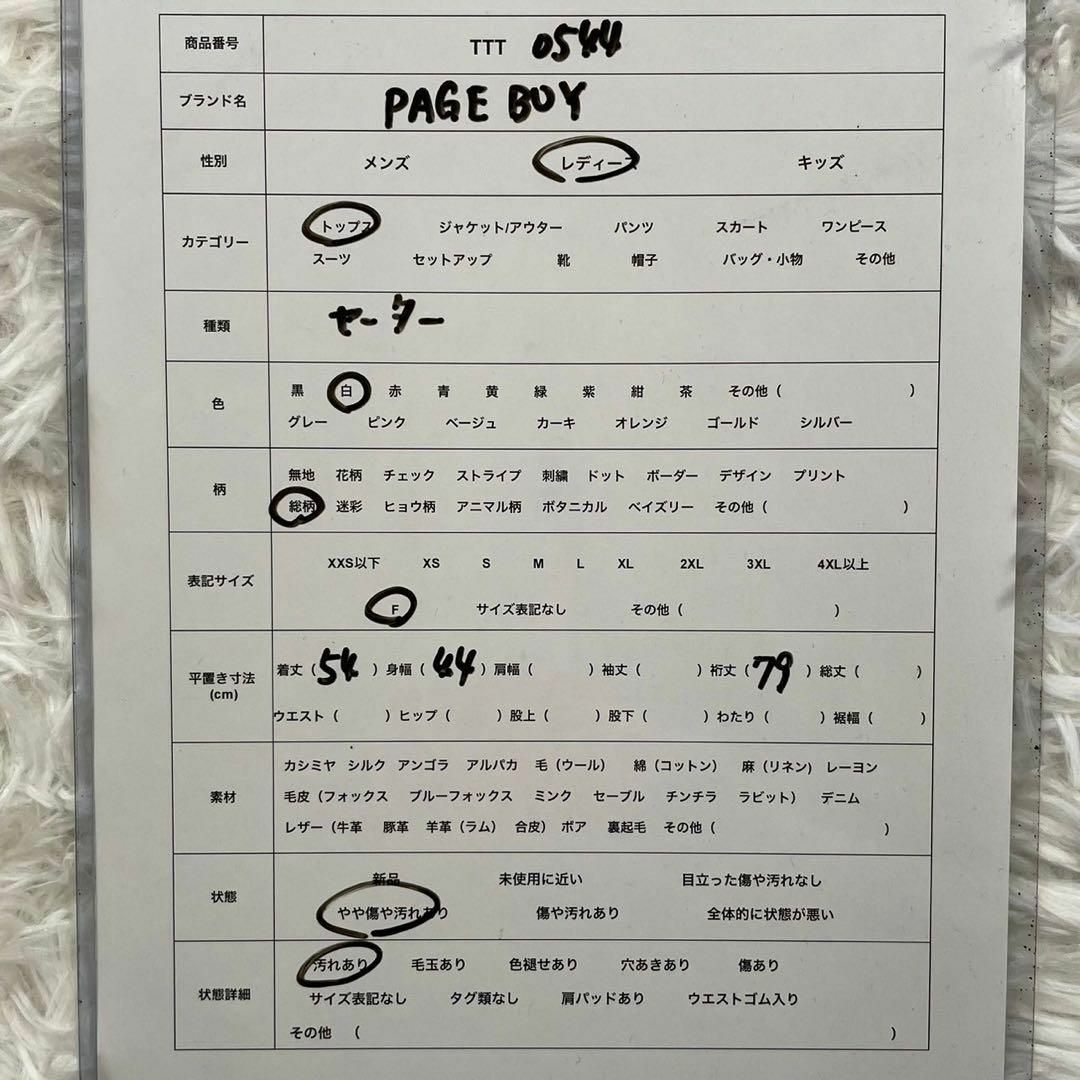 PAGEBOY(ページボーイ)のPAGE BOY ページボーイ(F) 総柄 セーター ホワイト 丸首 長袖 レディースのトップス(ニット/セーター)の商品写真