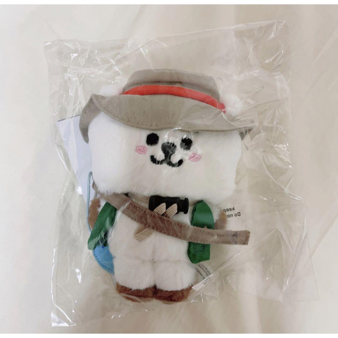 BT21(ビーティーイシビル)のBT21 ピクニック RJ ぬいぐるみ IN THE FOREST ジン JIN エンタメ/ホビーのおもちゃ/ぬいぐるみ(キャラクターグッズ)の商品写真