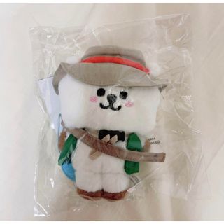 ビーティーイシビル(BT21)のBT21 ピクニック RJ ぬいぐるみ IN THE FOREST ジン JIN(キャラクターグッズ)