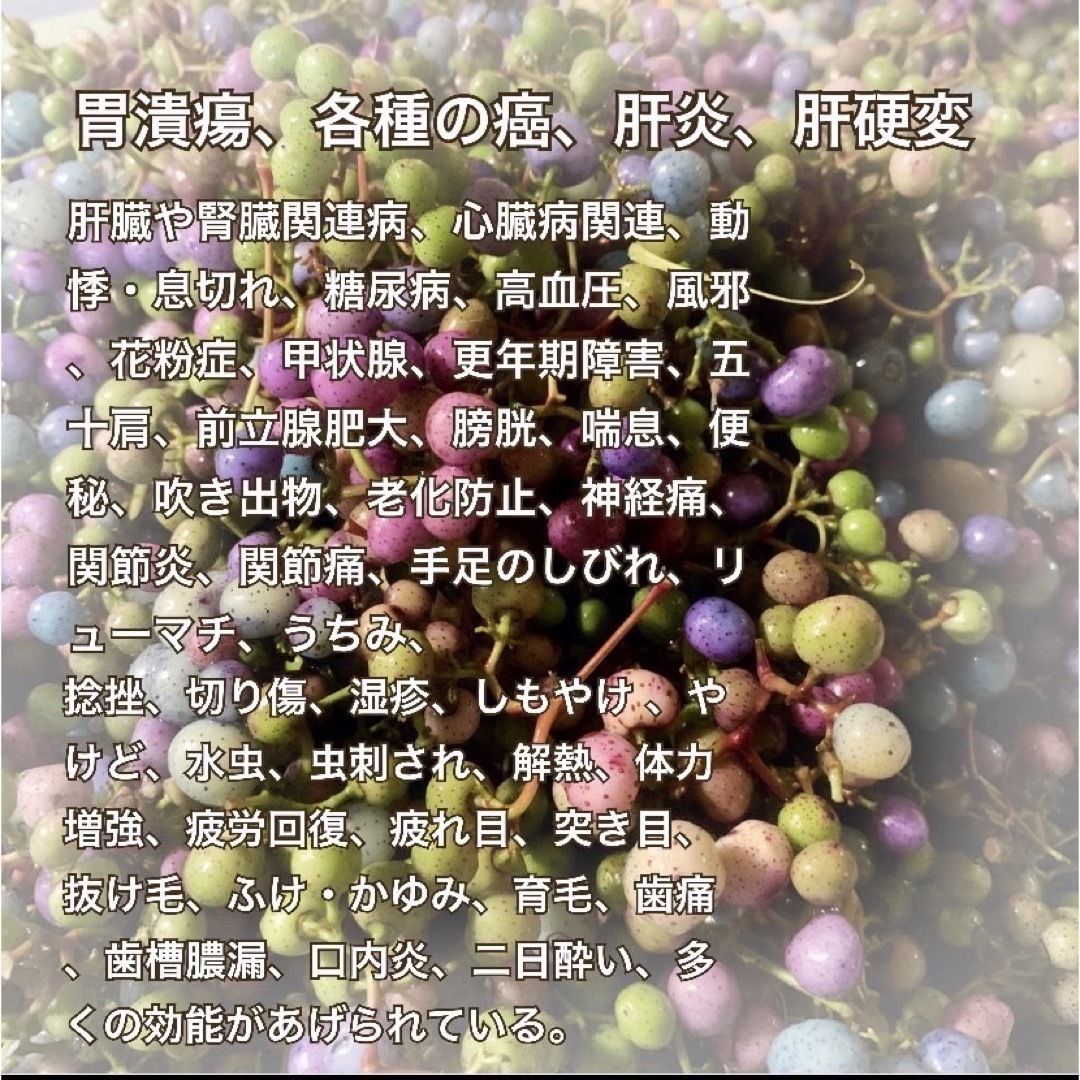 【在庫わずか】馬ぶどう250g×12袋　1年分3kg うまぶどう　民間療法 食品/飲料/酒の食品(野菜)の商品写真