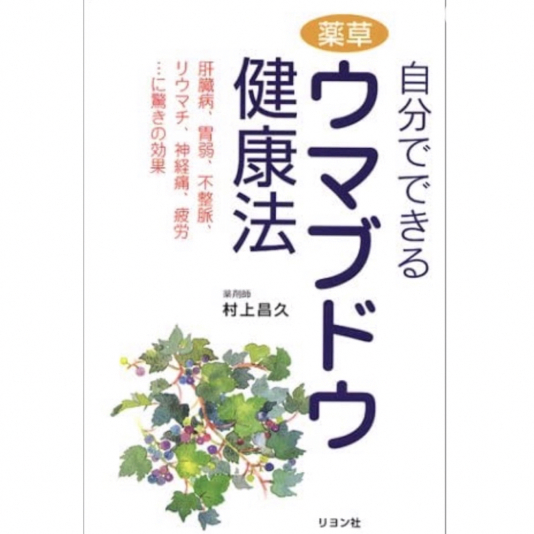 【在庫わずか】馬ぶどう250g×12袋　1年分3kg うまぶどう　民間療法 食品/飲料/酒の食品(野菜)の商品写真