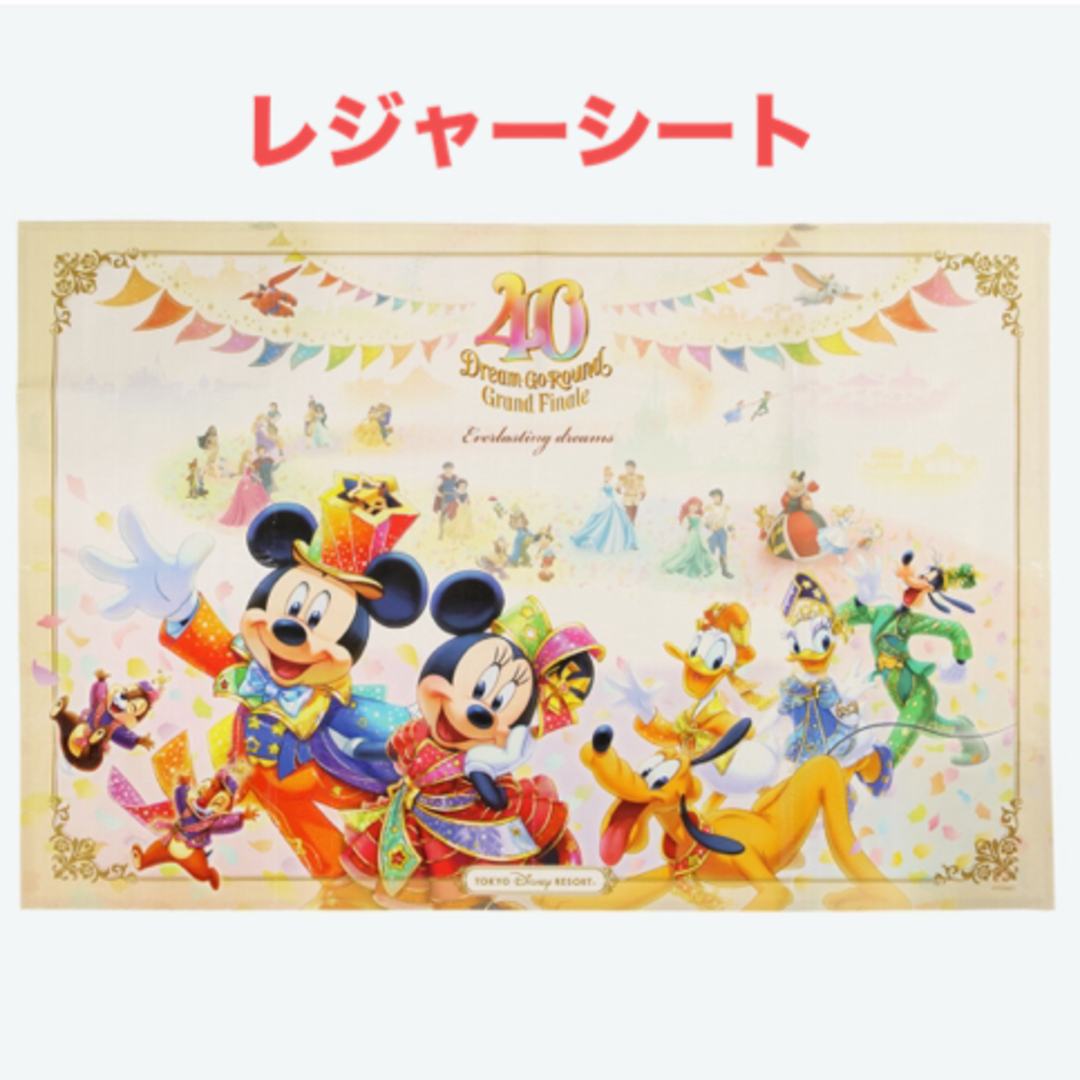 Disney(ディズニー)のディズニー 40周年 レジャーシート エンタメ/ホビーのおもちゃ/ぬいぐるみ(キャラクターグッズ)の商品写真