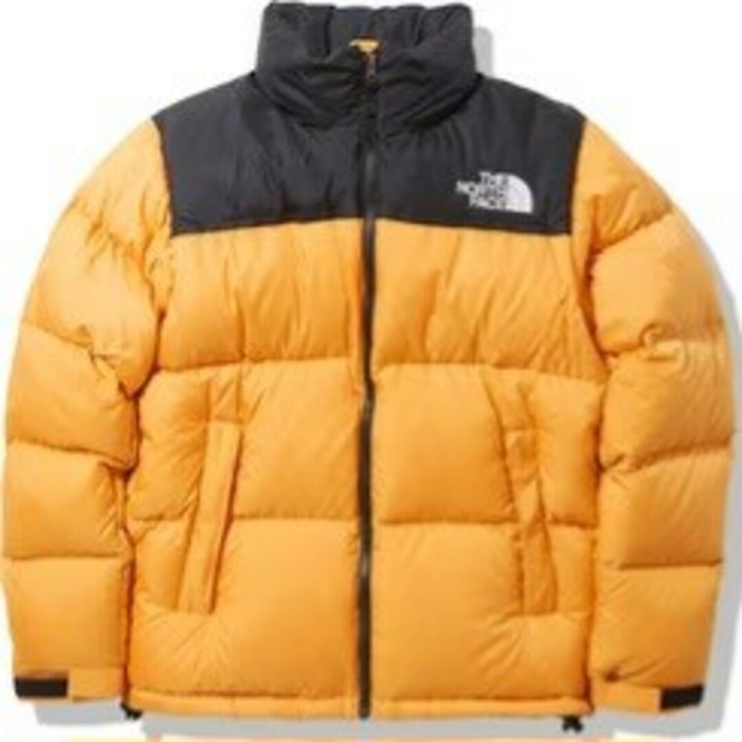 メンズTHE NORTH FACE Nuptse Jacket SG Sサイズ