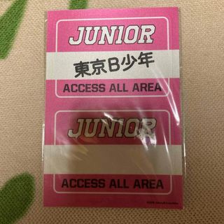 ジャニーズジュニア(ジャニーズJr.)の美少年　ステッカー(アイドルグッズ)